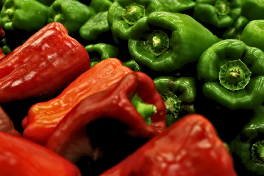 What is scotch bonnet pepper 