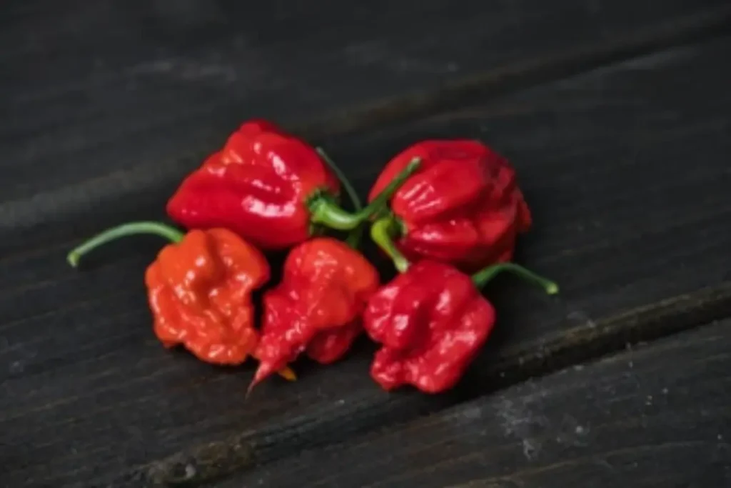 How to select Carolina reaper Seeds