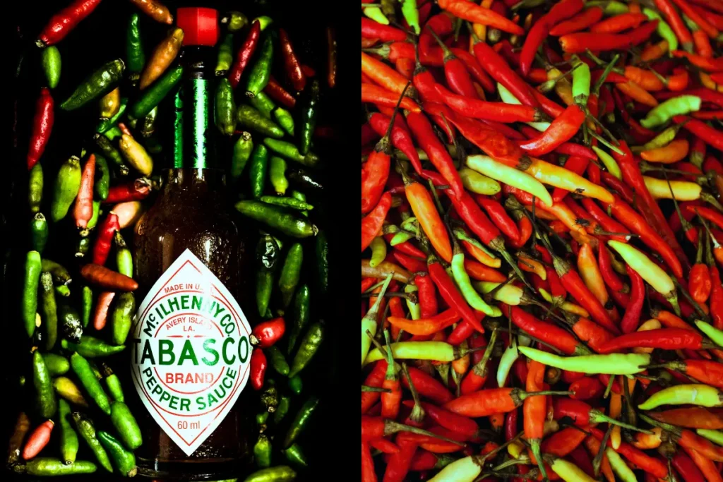 Culinary uses of Tabasco Pepper