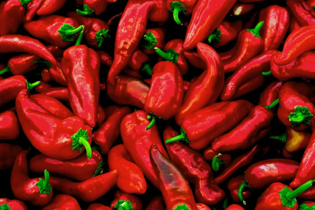 Fresno Peppers or chilies