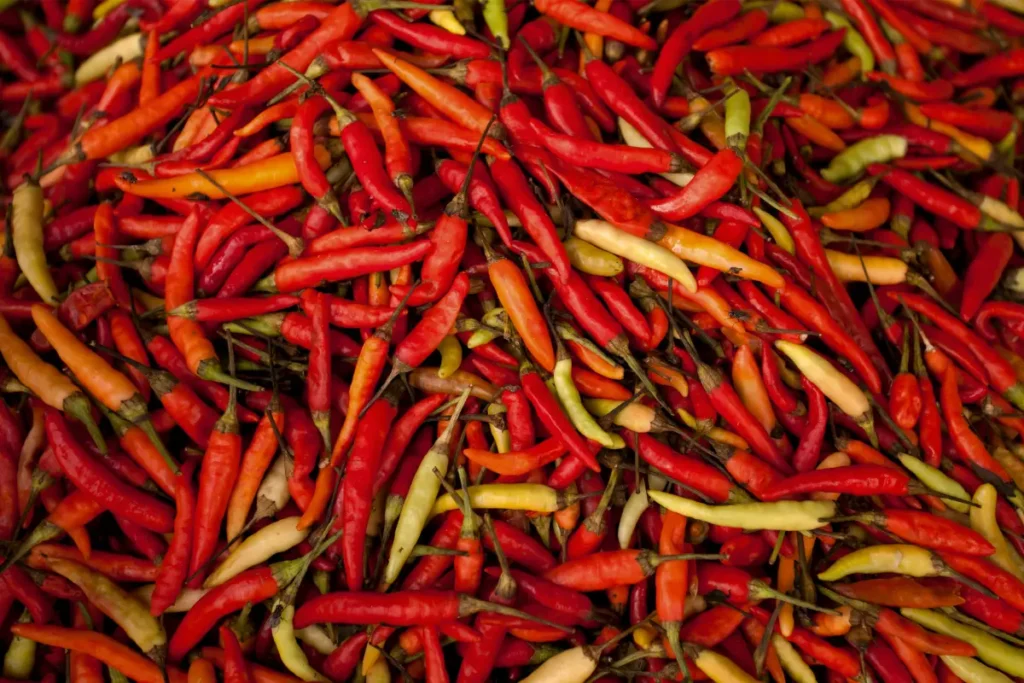 Tabasco Pepper; What are the Tabasco Pepper?